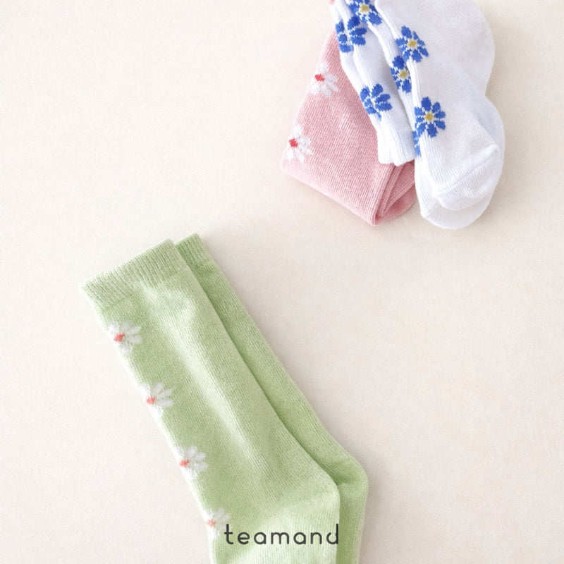 Teamand - Korean Children Fashion - #todddlerfashion - Alice Knee Socks Set