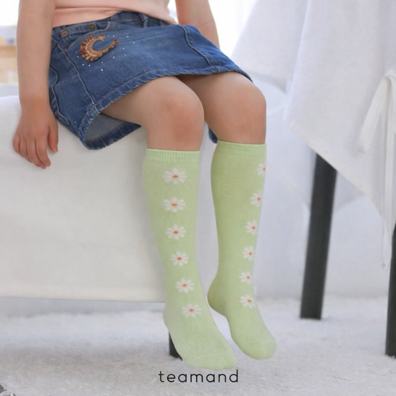 Teamand - Korean Children Fashion - #toddlerclothing - Alice Knee Socks Set - 2