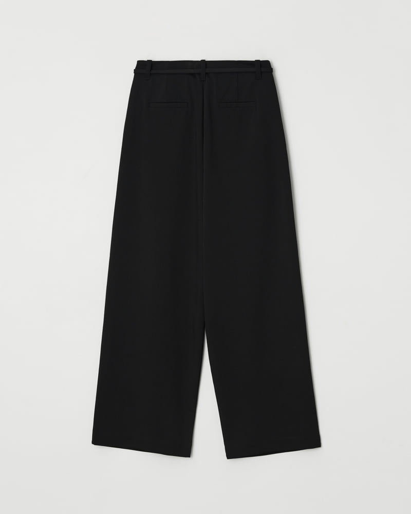 Understanding - Korean Women Fashion - #momslook - Double Pleated Wide Pants - 9