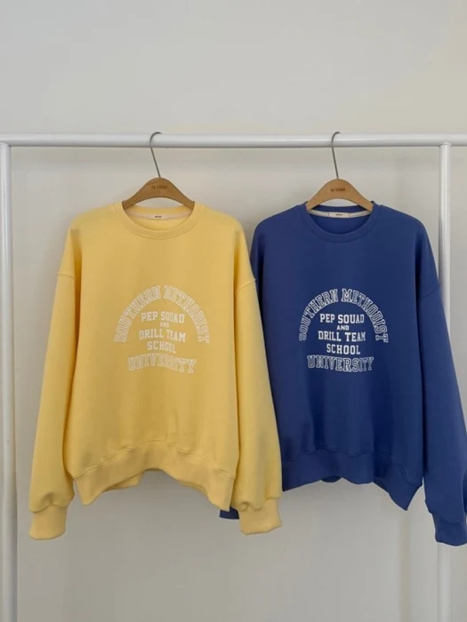 School Sweatshirt