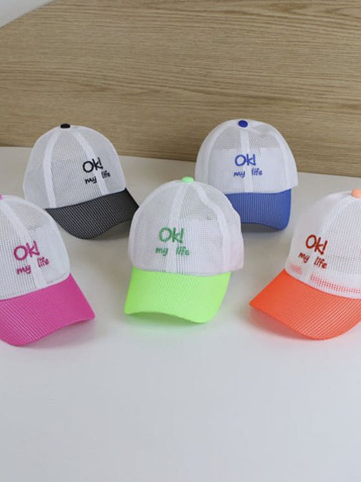My Life Mesh Ball Cap