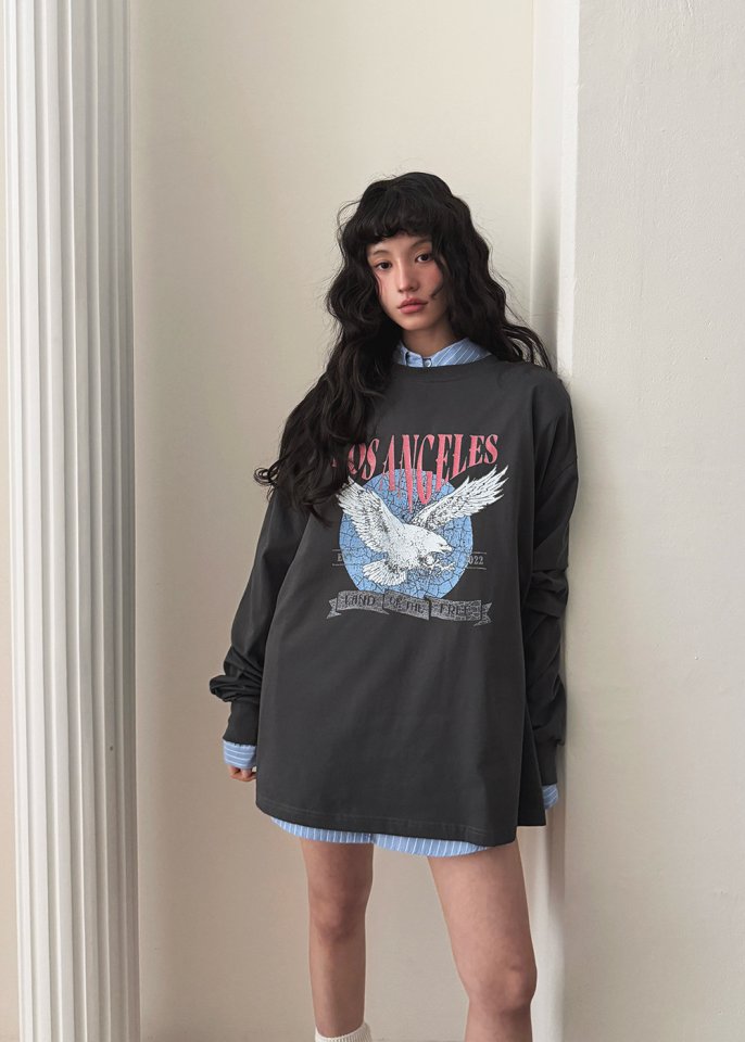 Amood - Korean Women Fashion - #vintagekidsstyle - Eagle Print Tee