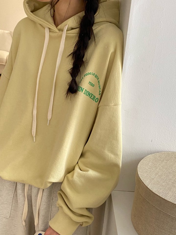 Diana - Korean Women Fashion - #vintagekidsstyle - Ferro Hoodie - 3
