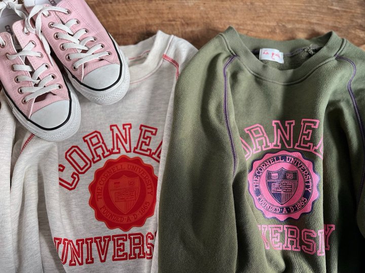 Lagrass - Korean Women Fashion - #pursuepretty - Cornell Sweatshirt