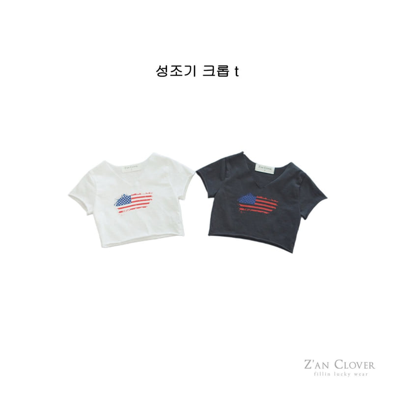 Zan Clover - Korean Children Fashion - #todddlerfashion - USA Flag Crop Tee