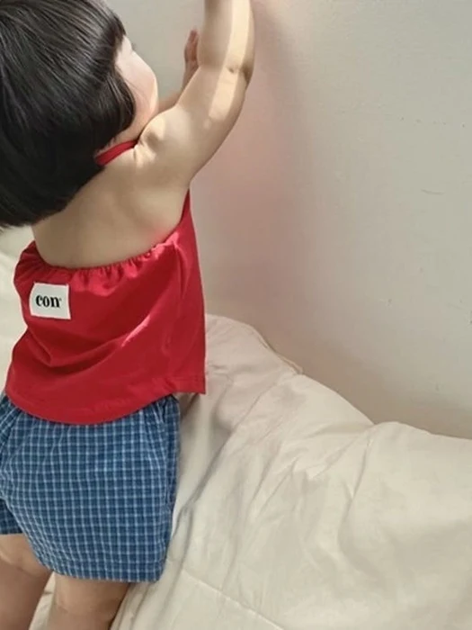 Checks Pants