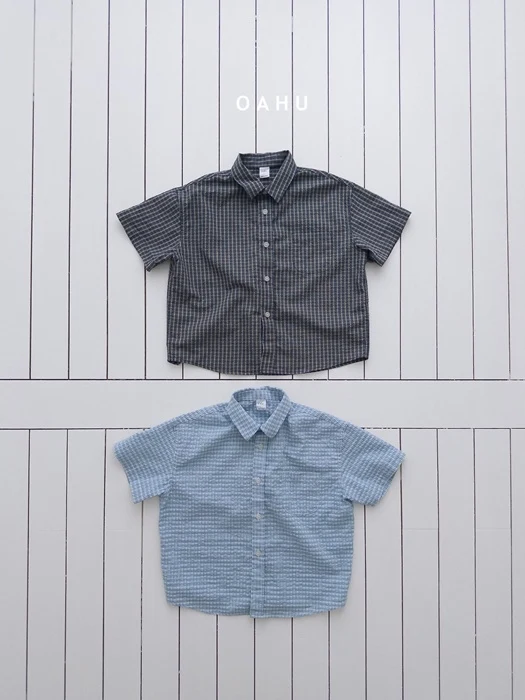 Sheer Check Shirt