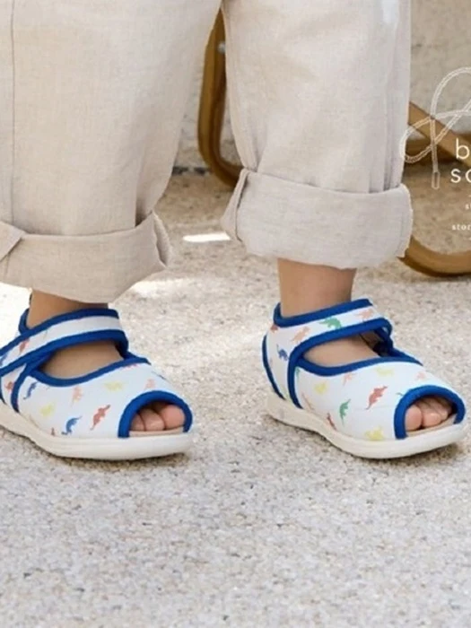Dino Squeaky Shoes