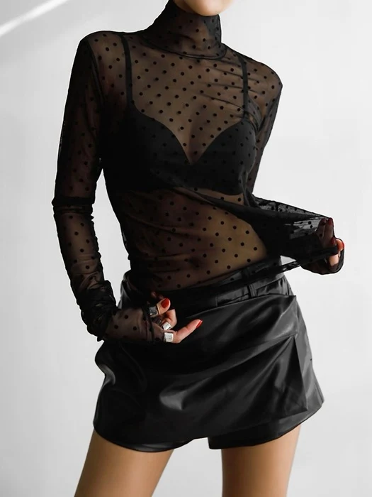 Dot Mesh Sheer Turtleneck Long Sleeve Tee