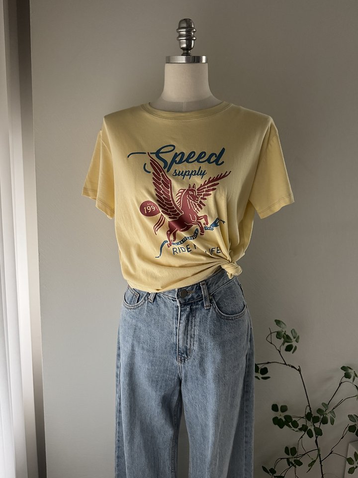 Most - Korean Women Fashion - #womensfashion - Pegasus Tee - 5