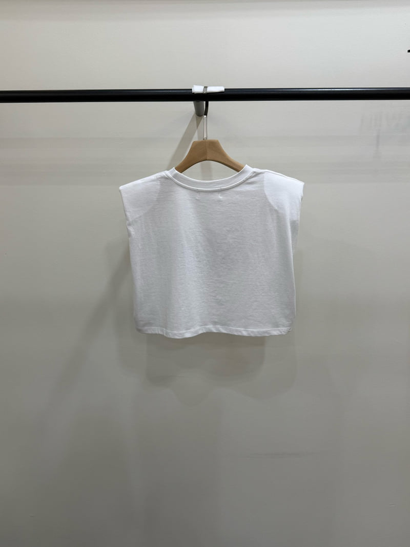 Person - Korean Women Fashion - #pursuepretty - Rose Crop Sleeveless Top - 12