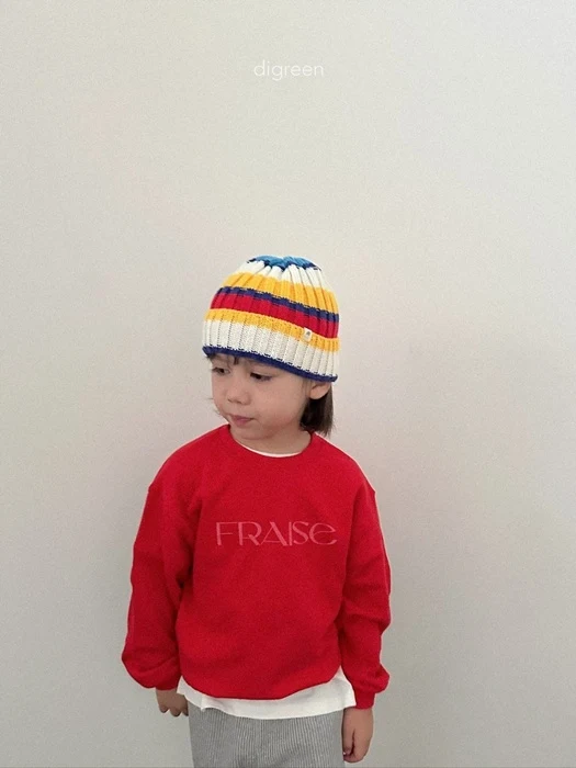 Multi Beanie