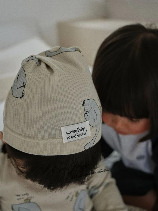 Normal Duck Ribbed Pointed Hat Normal Duck Ribbed Pointed Hat