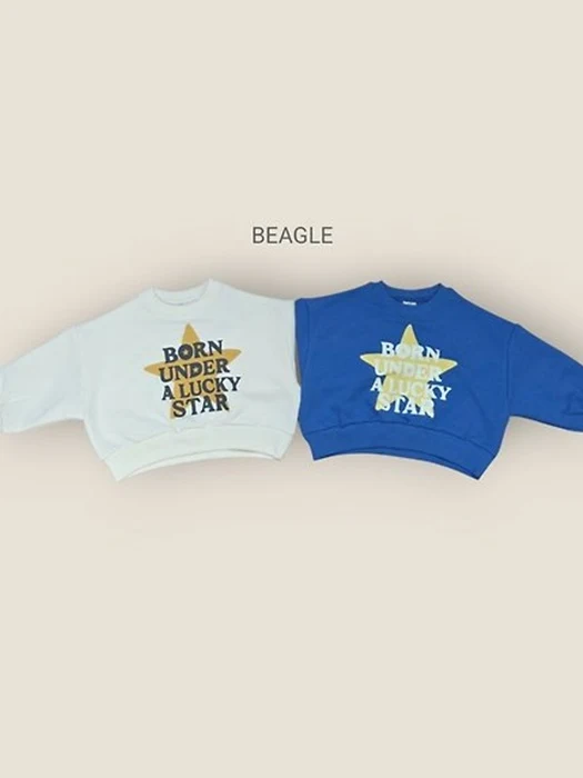 Star Crop Sweatshirt