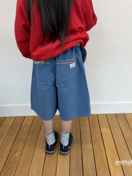 Hidden Check Pants