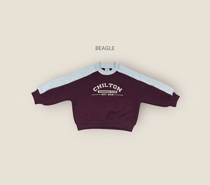Beagle - Korean Children Fashion - #childrensboutique - Chilton Sweatshirt - 2