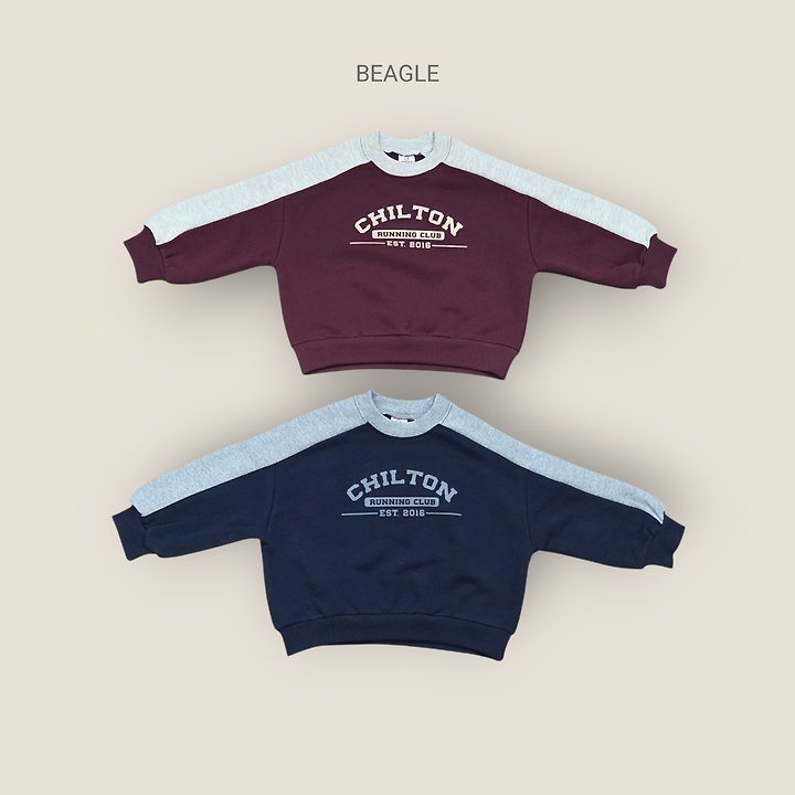 Beagle - Korean Children Fashion - #designkidswear - Chilton Sweatshirt - 4