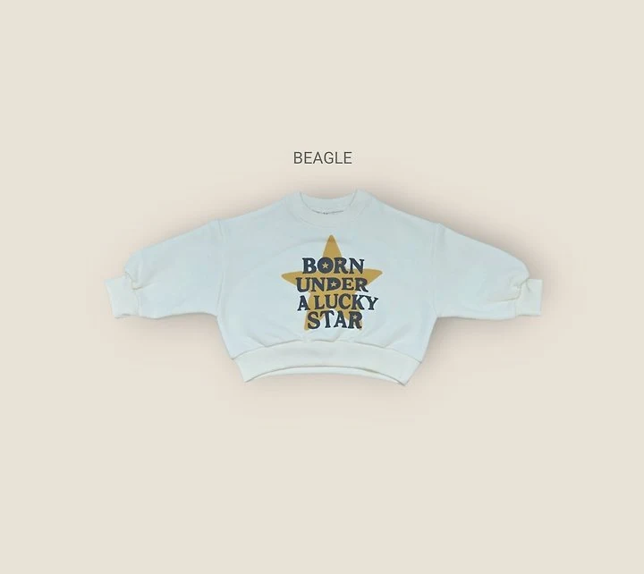 Beagle - Korean Children Fashion - #fashionkids - Star Crop Sweatshirt - 3