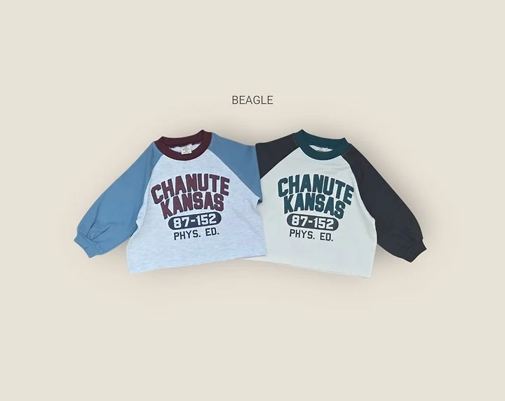 Beagle - Korean Children Fashion - #fashionkids - Kansas Raglan Tee
