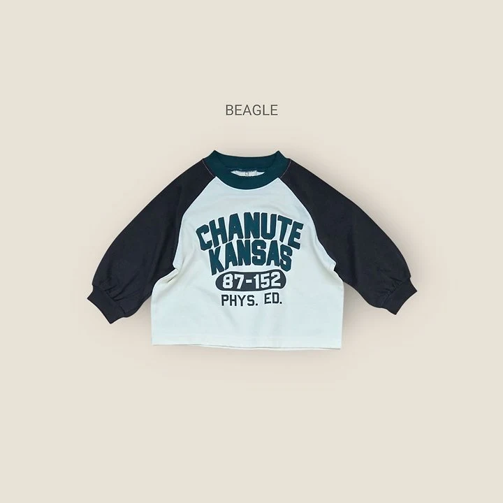 Beagle - Korean Children Fashion - #kidsstore - Kansas Raglan Tee - 4
