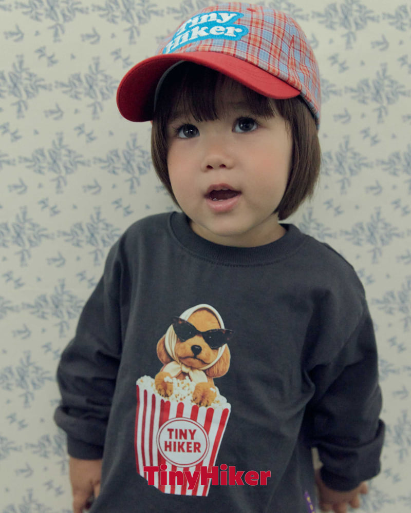 Hiker - Korean Children Fashion - #childofig - Autumn Check Ball Cap - 12