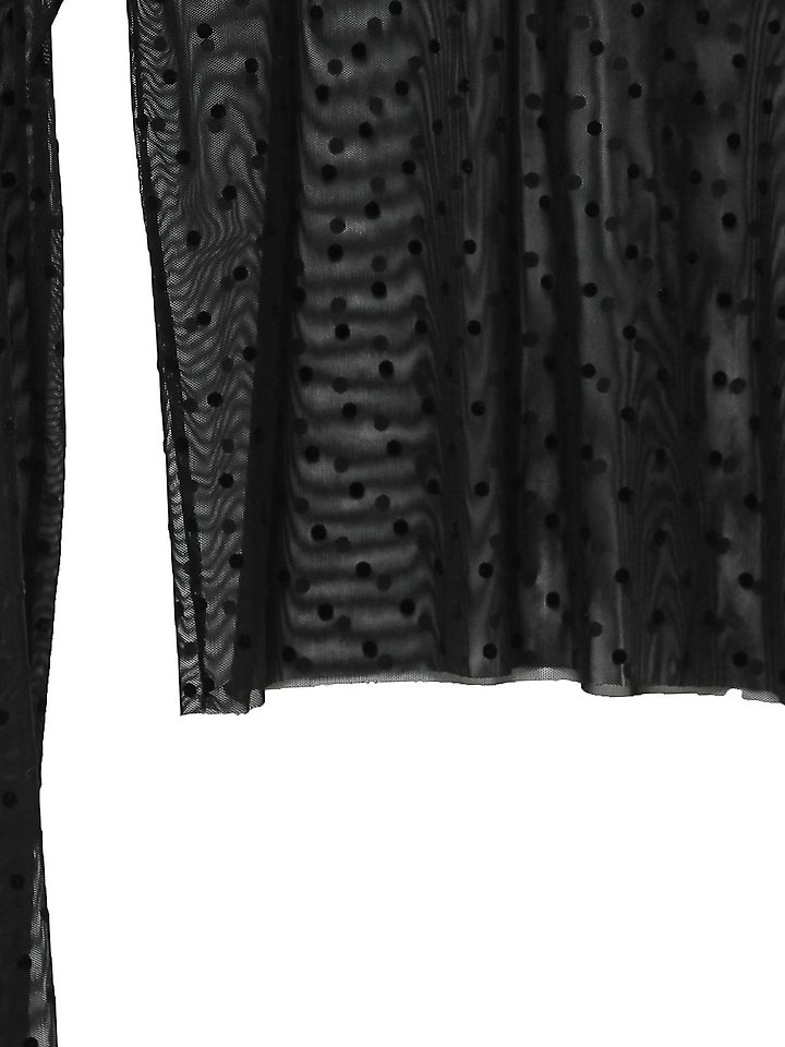 Paper Moon - Korean Women Fashion - #womensfashion - Dot Mesh Sheer Turtleneck Long Sleeve Tee - 10