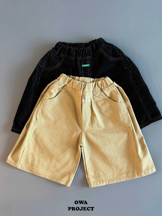 Front Pleats Midi Pants