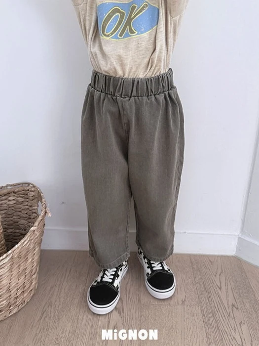 Pigment Volume Pants