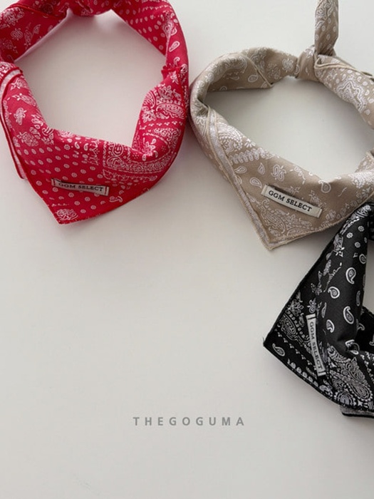 Paisley Scarf Paisley Scarf