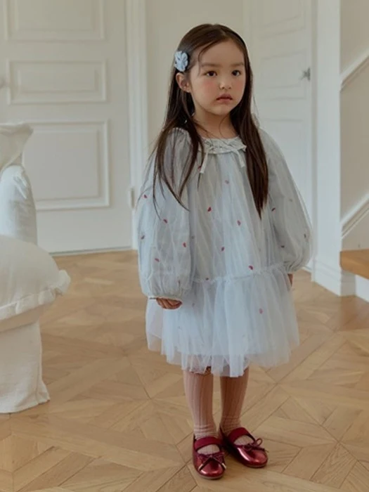 Heart Chiffon Dress Heart Chiffon Dress