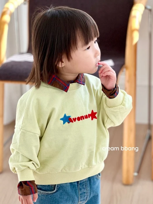 Avenue Embroidery Sweatshirt Avenue Embroidery Sweatshirt