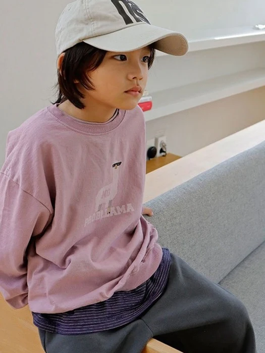 Llama Sweatshirt
