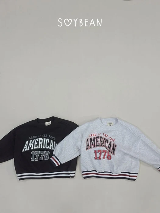 American Sweatshirt