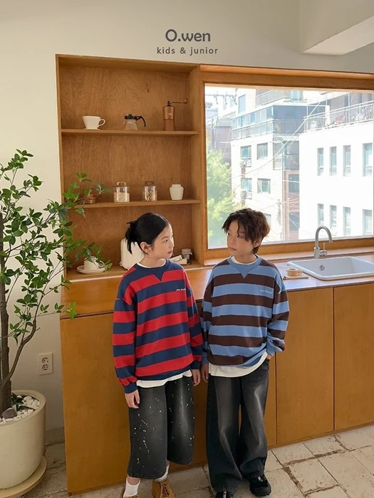 Block Striped Sweatshirt Block Striped Sweatshirt