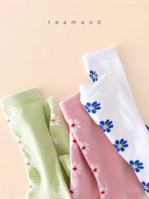 Alice Knee Sock Set