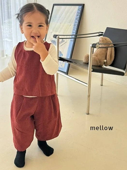 Cherry Check Back Slit Vest
