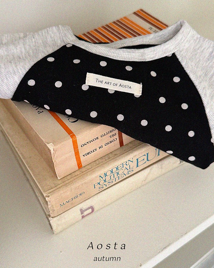 Aosta - Korean Children Fashion - #kidzfashiontrend - Dot Raglan Tee - 5