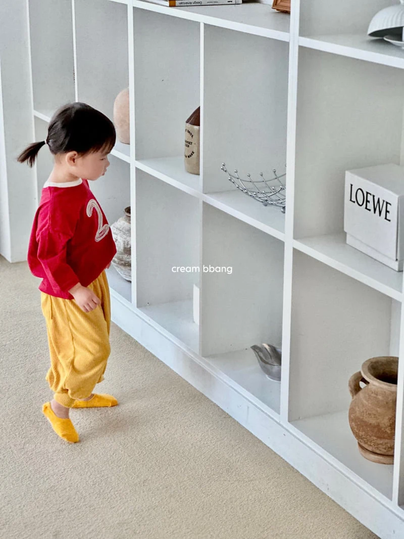 Cream Bbang - Korean Children Fashion - #discoveringself - 23 Embroidered Color-Block Tee - 8