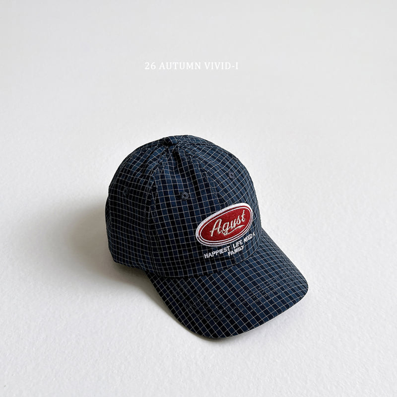 Vivid I - Korean Children Fashion - #Kfashion4kids - Acoustic Check Cap - 6