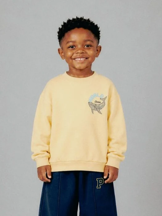 Whale Sweatshirt (13~19) Whale Sweatshirt (13~19) by Delight for Junior - catalog view