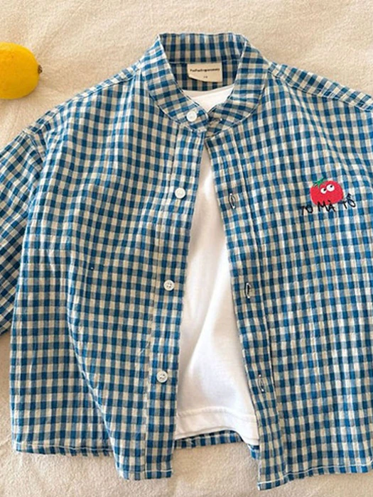 Tomato Embroidery Check Shirt by Ante J for Child - catalog view