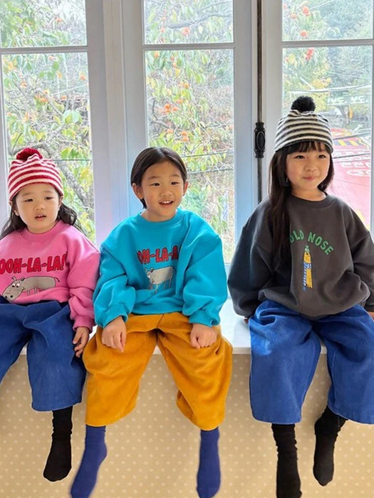Hippo Sweatshirt by Yogurt Mansion for Child - catalog view