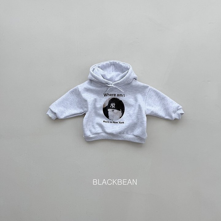 Beanie Hooded Tee by Black Bean for Child - view 6