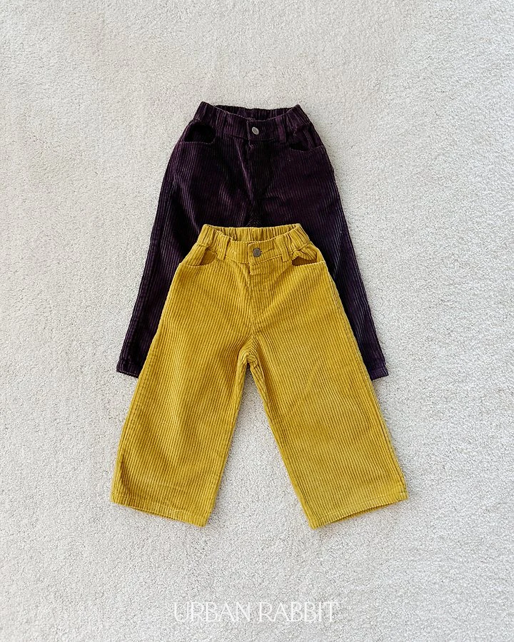 Sugar Pie Corduroy Pants by Urban Rabbit for Child - view 1